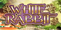 White Rabbit Spielautomat