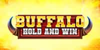 Buffalo Hold and Win Spielautomat