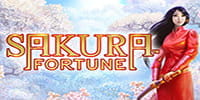 Sakura Fortune Spielautomat