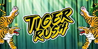 Tiger Rush Spielautomat