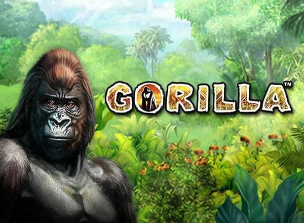 Slotspiele Kostenlos Novolino Slotspiele Kostenlos Novolino