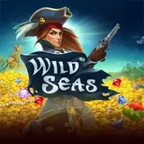 Wild Seas Logo