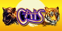 Cats Spielautomat