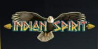 Indian Spirit Spielautomat