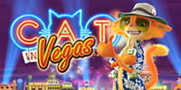 Cat in Vegas Spielautomat