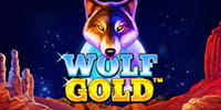 Wolf Gold Spielautomat