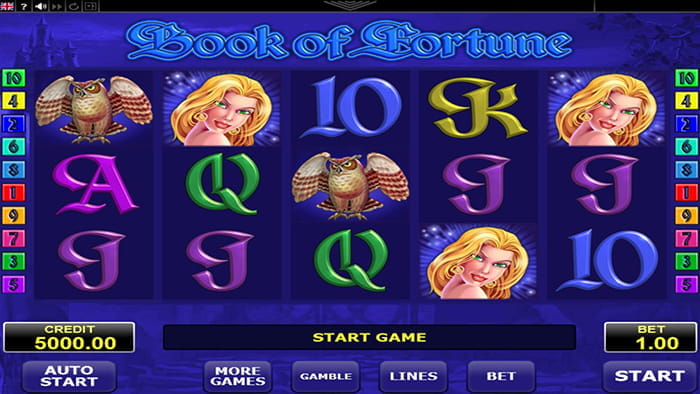 Book Of Fortune Spielautomat
