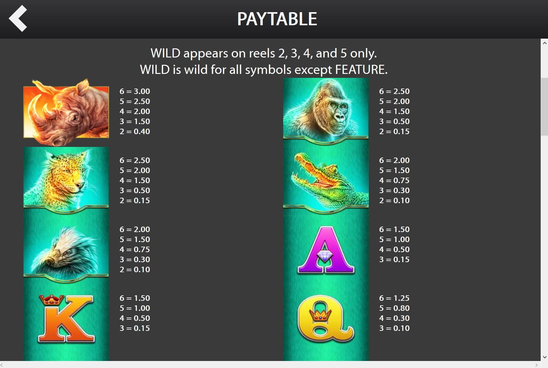 Raging Rhino Paytable
